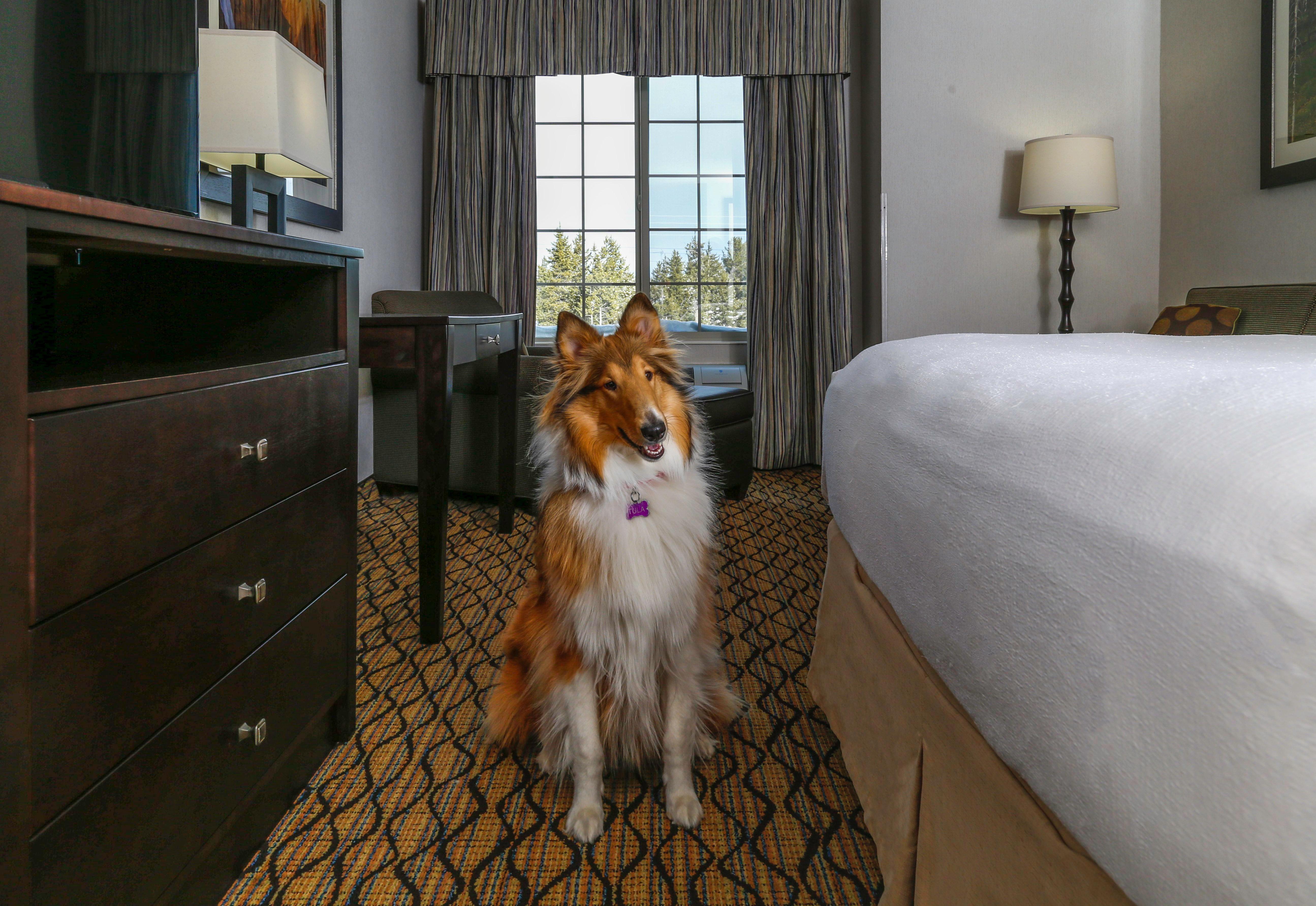 Holiday Inn West Yellowstone By Ihg Eksteriør billede